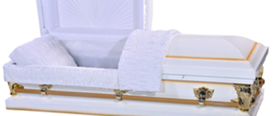 Antique White Shaded Gold Steel Casket