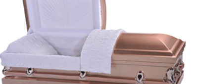 Fawn Bronze Steel Casket