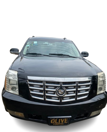 Motor Hearse — image 6