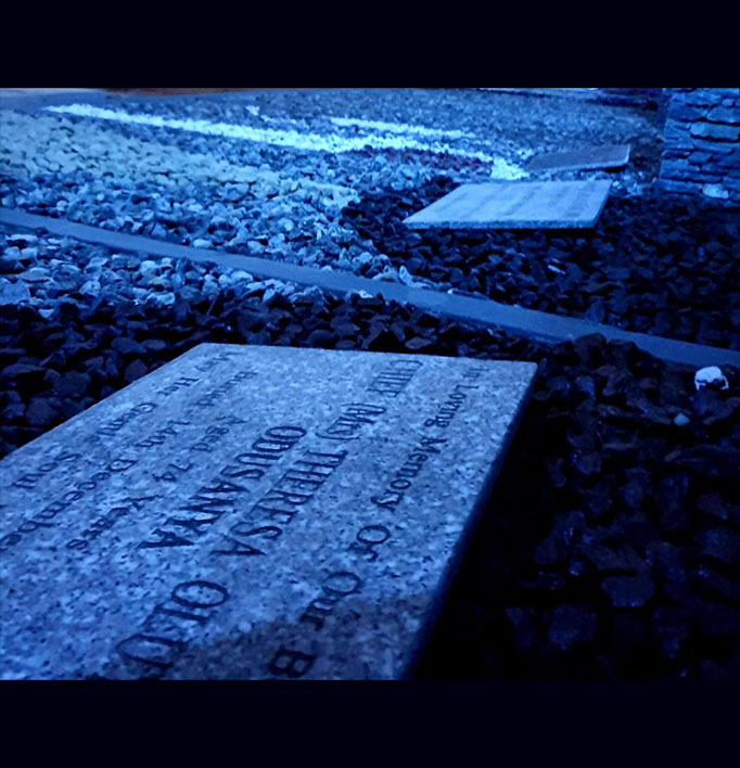 Autopsies & Post-Mortem — image 7
