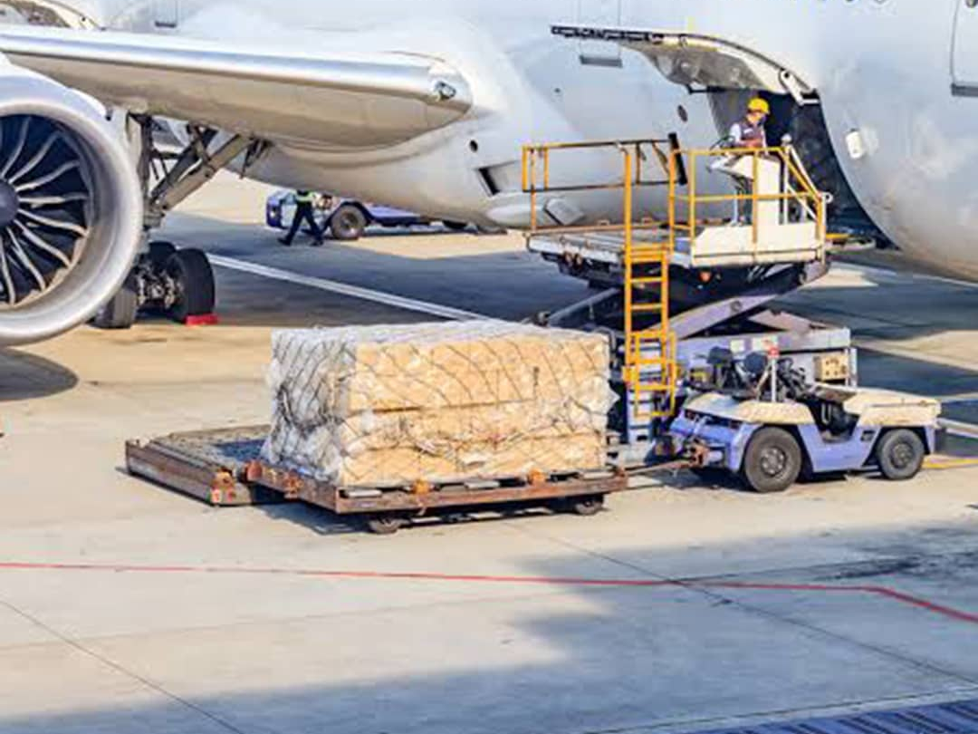 International Repatriation