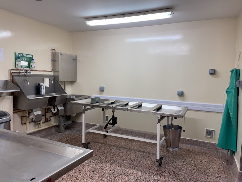 Embalming & Preparation