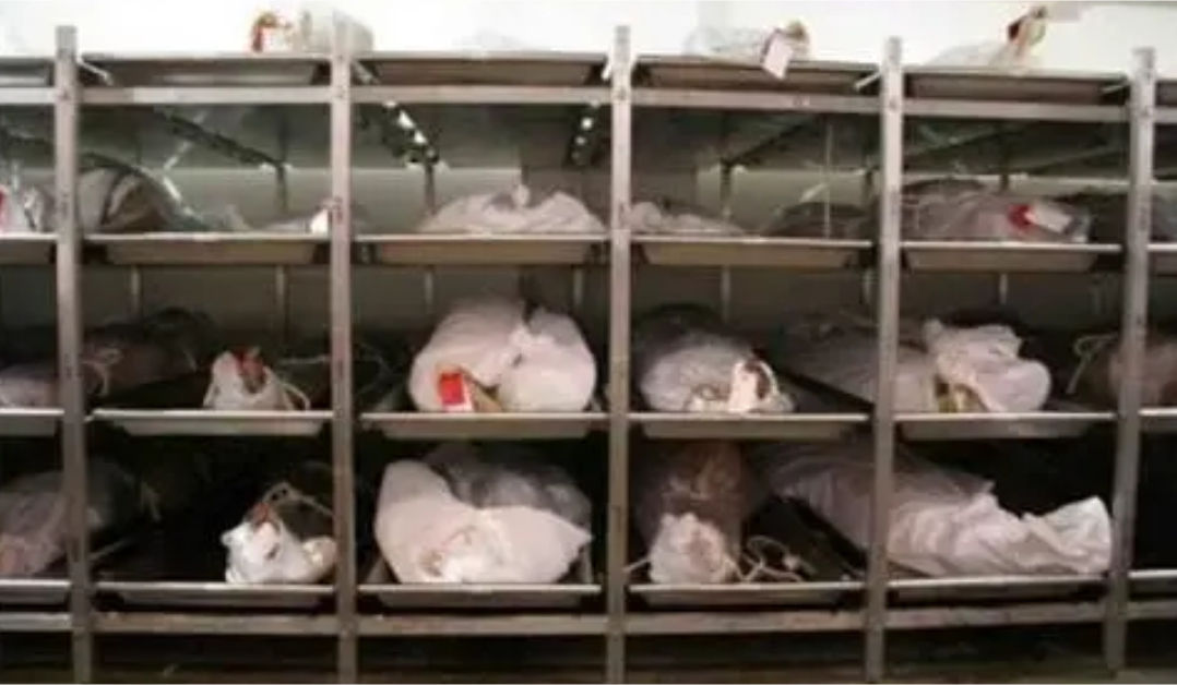 Mortuary Storage