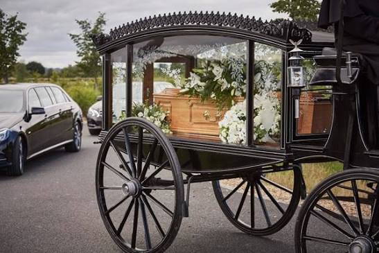 Hearse Service — image 5